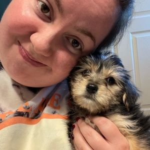 Meet your Posher, Chelsea